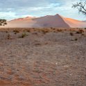 NAM HAR Dune45 2016NOV21 071 : 2016 - African Adventures, Hardap, Namibia, Southern, Africa, Dune 45, 2016, November